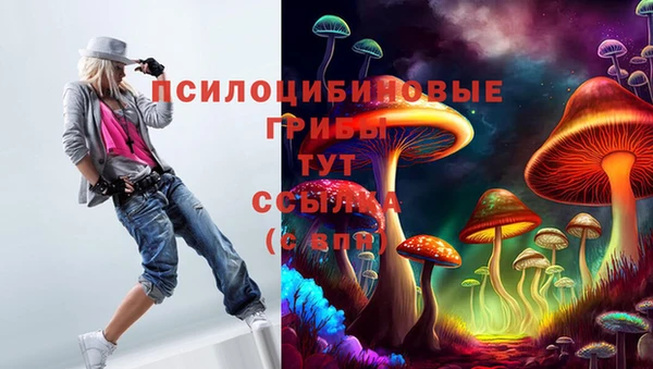 таблы Алексин