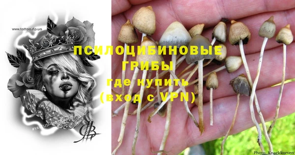 марки nbome Алзамай