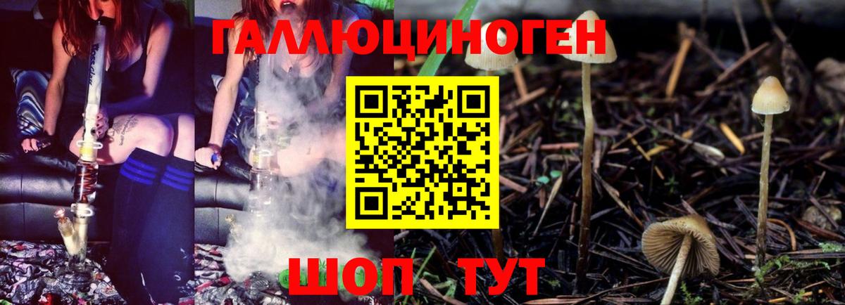Галлюциногенные грибы мицелий Пермь