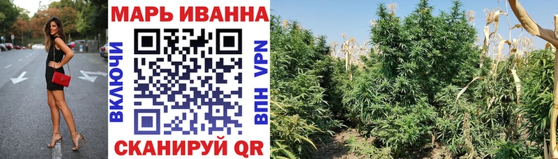 Конопля сатива купить Пермь